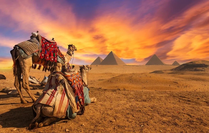 Cairo Vip Group Tour