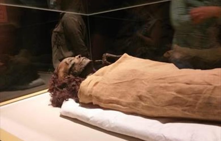 Cairo Luxurious Private Tour by Plane