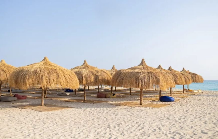 Mahmya Island Day Trip | Explore the Beauty of Mahmya Beach