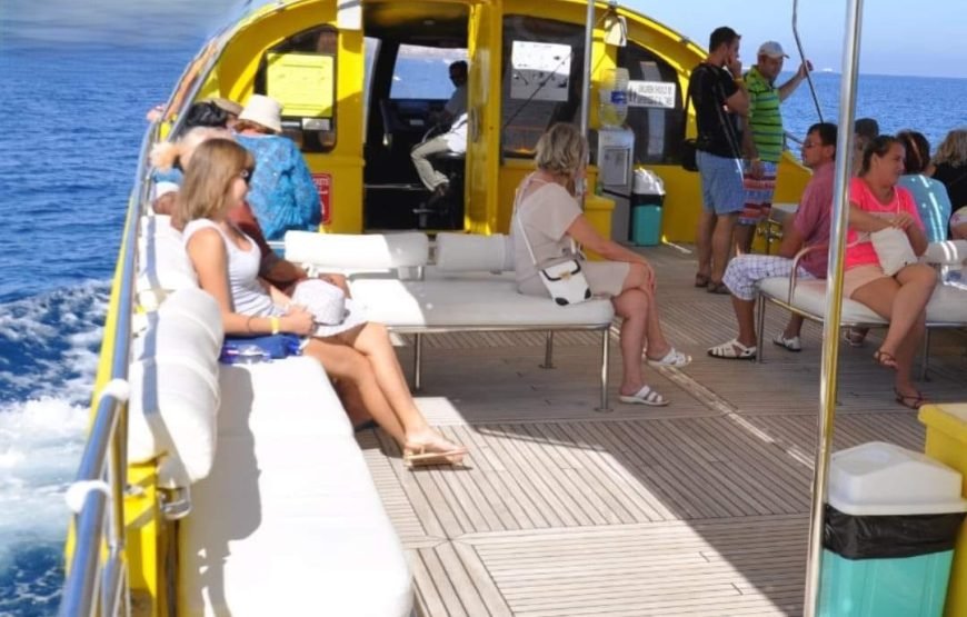 Explore the Underwater Wonders of the Red Sea | Semi-Submarine Cruise in El Gouna