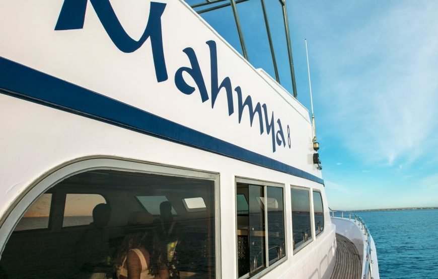 Mahmya Island Day Trip | Explore the Beauty of Mahmya Beach