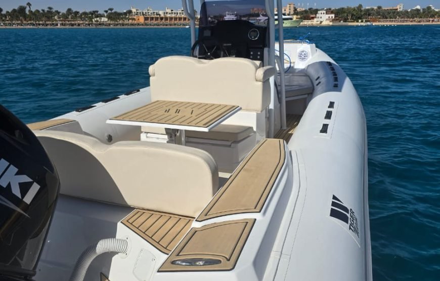 Ultimate Marine Experience: Private Boat, Speed Boat, and Glass Boat Tour