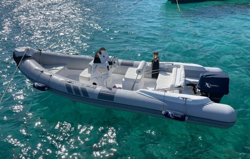 Ultimate Marine Experience: Private Boat, Speed Boat, and Glass Boat Tour