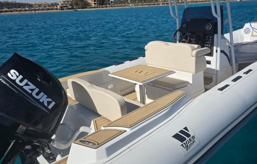 Ultimate Marine Experience: Private Boat, Speed Boat, and Glass Boat Tour