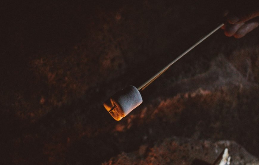 Enchanting Sunset, Vibrant Marine Life, and Authentic Bedouin Experience