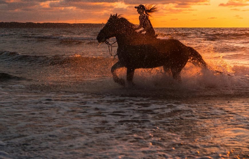 Horseback Riding Tour in Hurghada | Explore the Desert Landscape