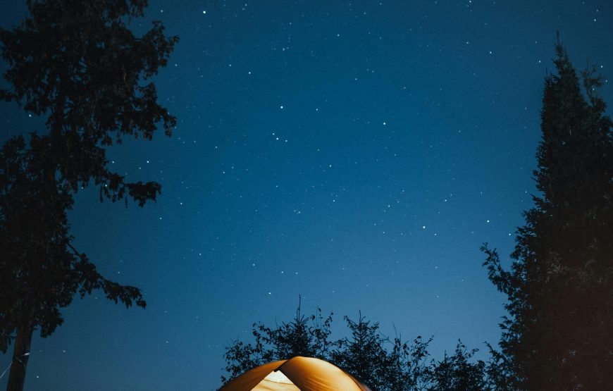 Enchanting Sunset, Vibrant Marine Life, and Authentic Bedouin Experience