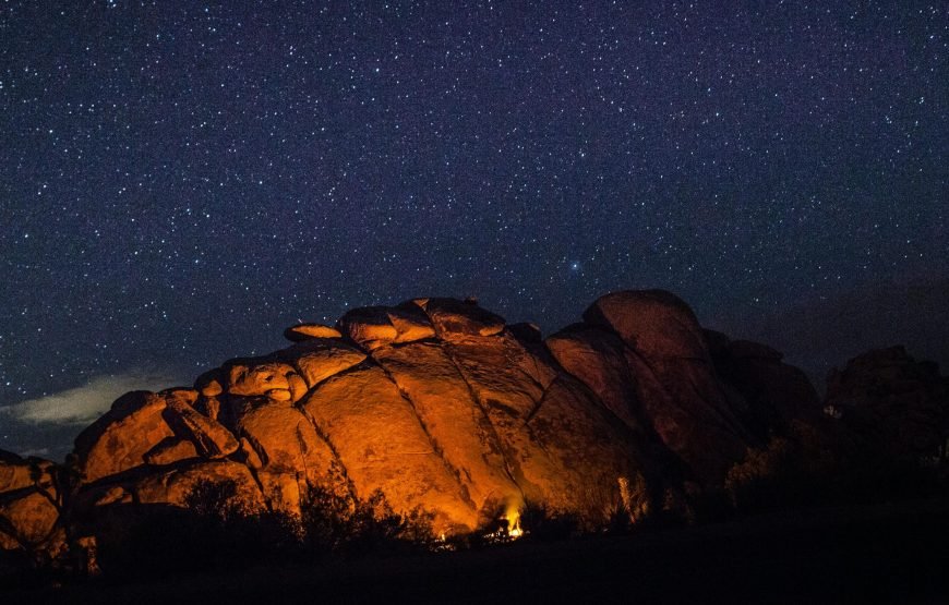 Enchanting Sunset, Vibrant Marine Life, and Authentic Bedouin Experience