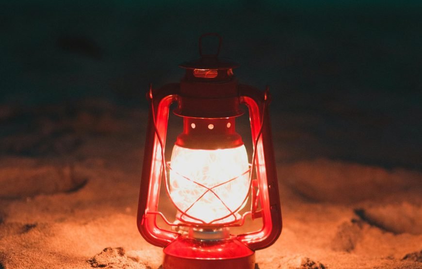 Enchanting Sunset, Vibrant Marine Life, and Authentic Bedouin Experience