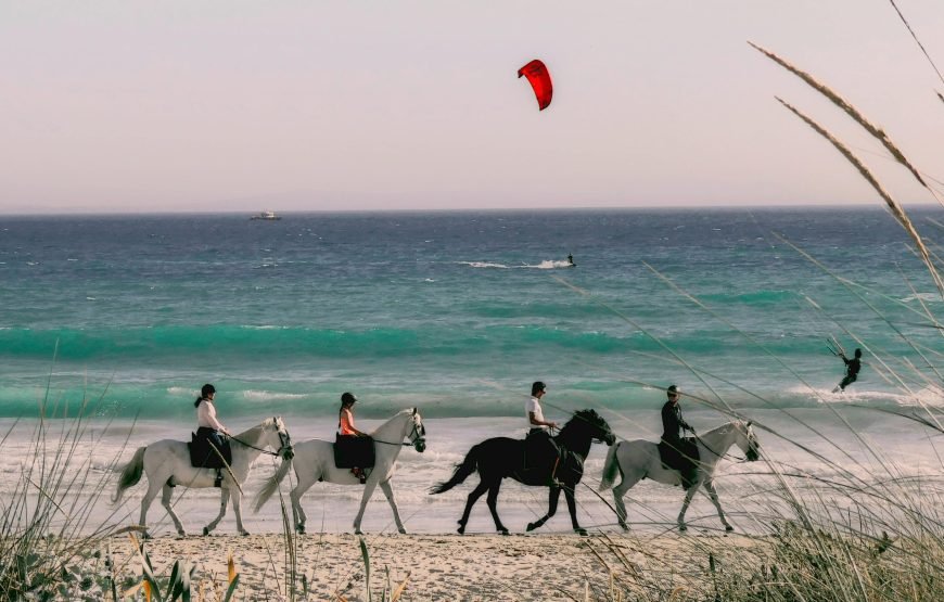 Horseback Riding Tour in Hurghada | Explore the Desert Landscape