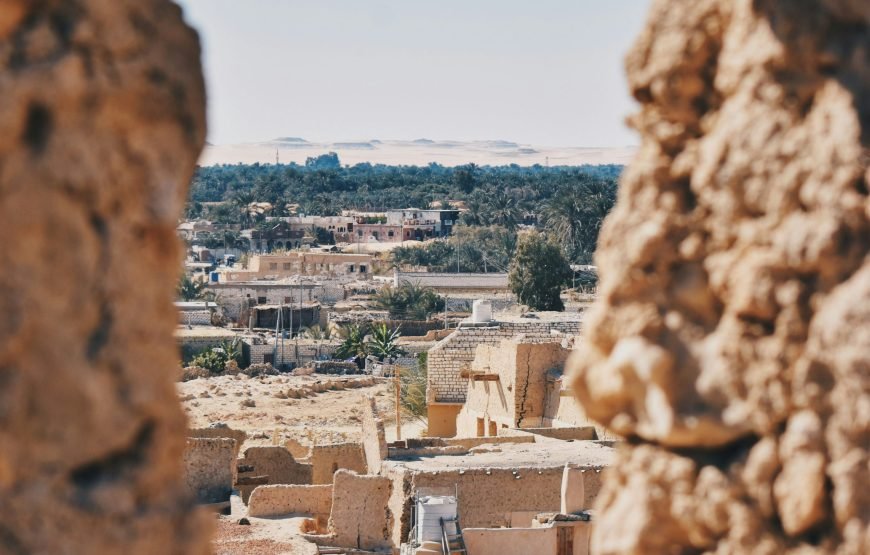 Unforgettable Siwa Oasis Adventure | Discover the Tranquil Beauty