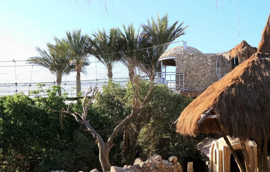 Hurghada Grand Aquarium Tour