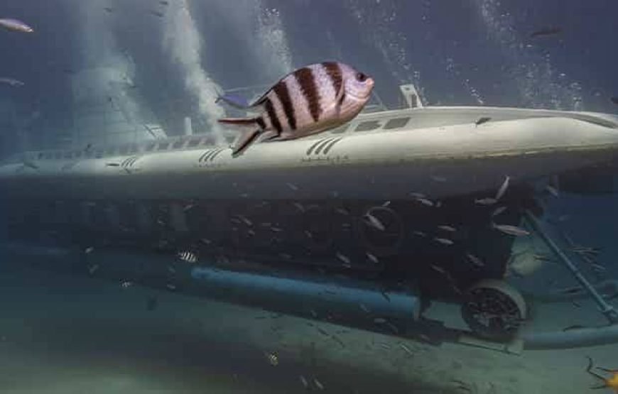 Sinbad Submarine: Discover Hurghada’s Vibrant Coral Reefs