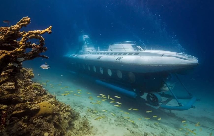 Sinbad Submarine: Discover Hurghada’s Vibrant Coral Reefs