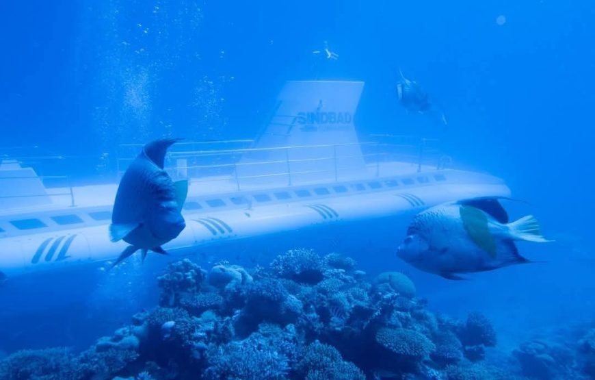 Sinbad Submarine: Discover Hurghada’s Vibrant Coral Reefs