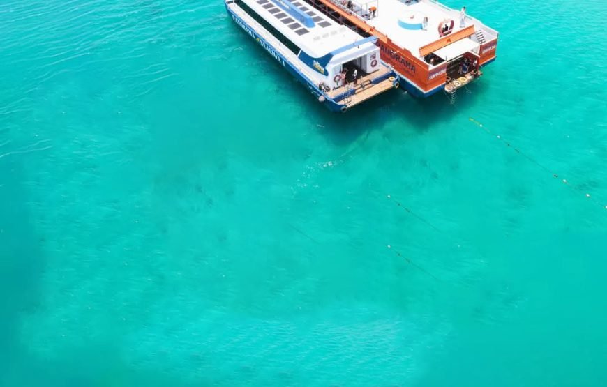 Discover the Wonders of the Red Sea with Semi-Submarine_Makadi
