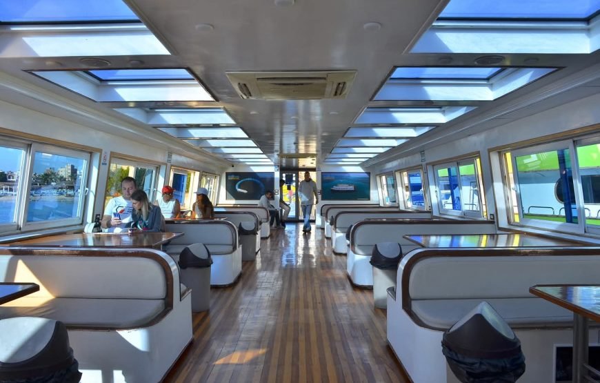 Discover the Wonders of the Red Sea with Semi-Submarine_Makadi