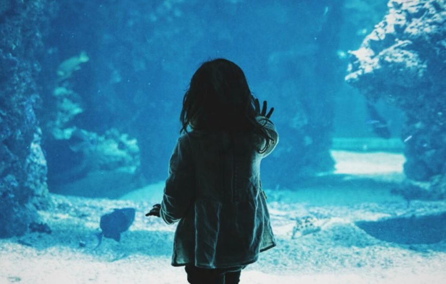 Hurghada Grand Aquarium Tour