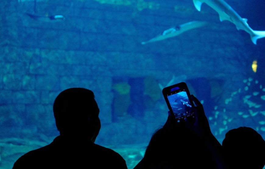 Hurghada Grand Aquarium Tour