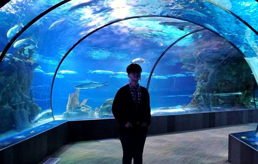 Hurghada Grand Aquarium Tour
